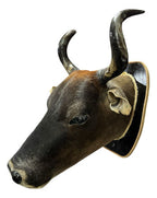 Decoração De Parede Cabeça De Boi Nelore Empalhada