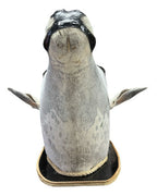 Decoração De Parede Cabeça De Boi Nelore Empalhada Country